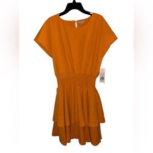 NWT Habitual Girls Size 16 Dress